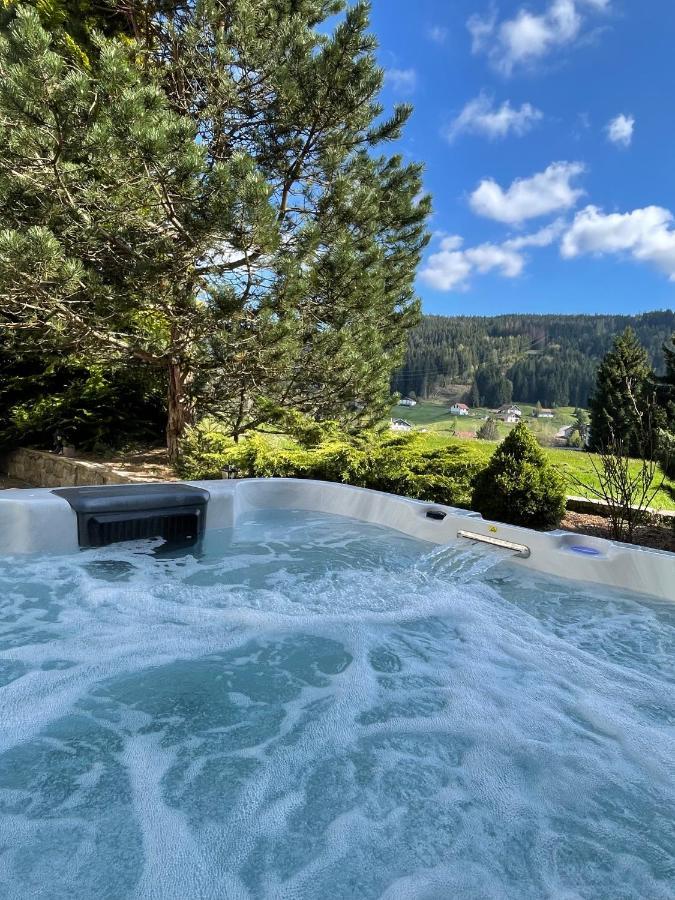 Villa La Charbonnière Gérardmer Esterno foto
